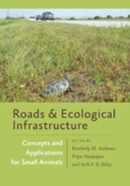 Roads & Ecological Infrastructure