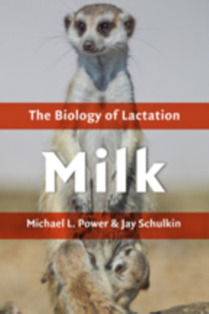 Milk