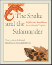 The Snake And The Salamander Reptiles A