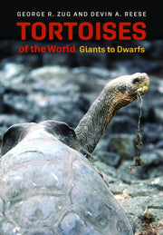 Tortoises Of The World Giants To Dwarfs By Zug, George R