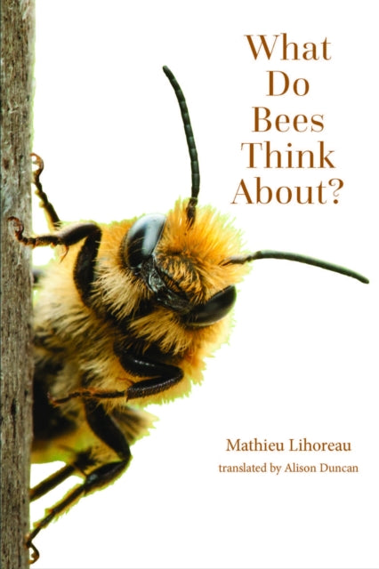 What Do Bees Think About By Lihoreau, Mathieu
