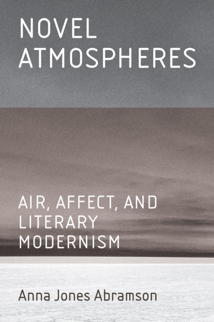 Novel Atmospheres Air Affect And Lite By Anna Jones Abramson