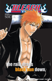 Bleach Souls Pa
