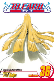 Bleach 36