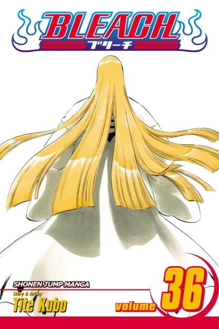 Bleach 36