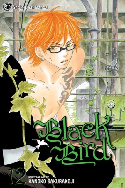 Black Bird 12 Pa