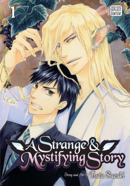 Strange & Mystifying Story Vol 1