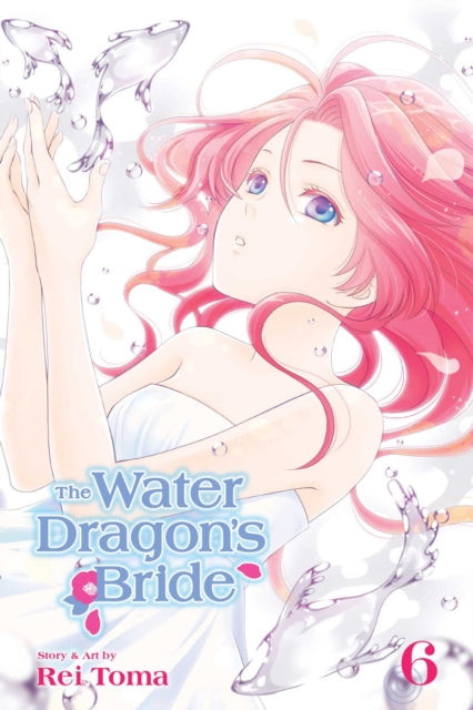 Water Dragons Bride Vol 6