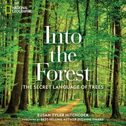 Into The Forest