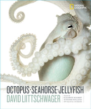 Octopus Seahorse Jellyfish