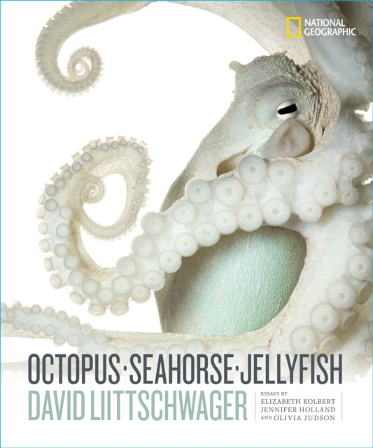 Octopus Seahorse Jellyfish