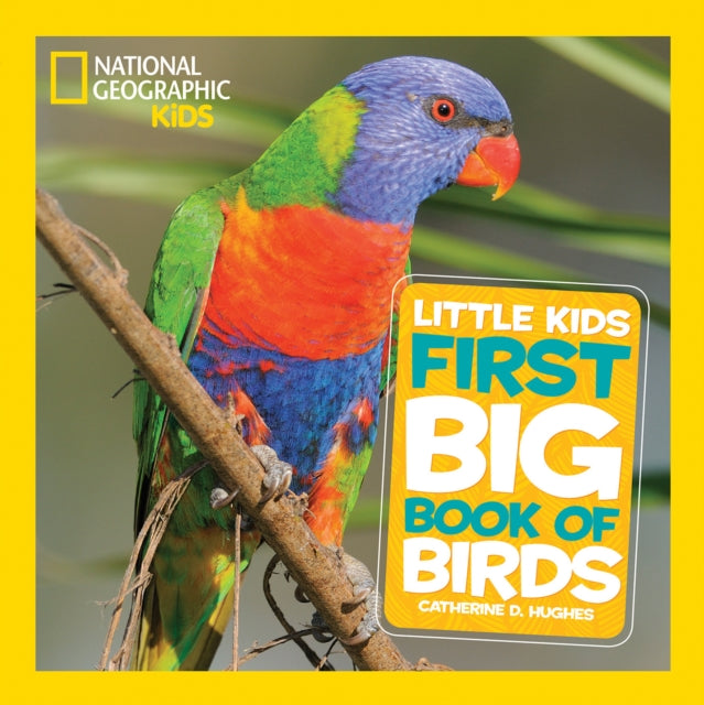 Big Book Of Birds