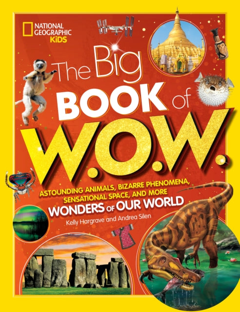 Big Book Of Wow By Silen, Andrea