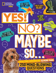 Yes No Maybe So