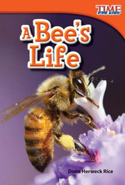 Bees Life