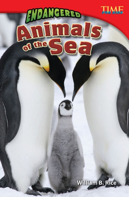 Endangered Animals Of The Sea
