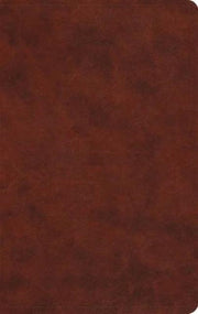Esv Lp Value Thinline Bible Tt Che
