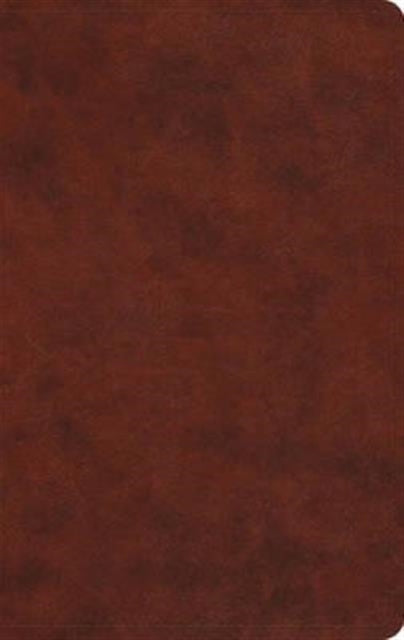 Esv Lp Value Thinline Bible Tt Che