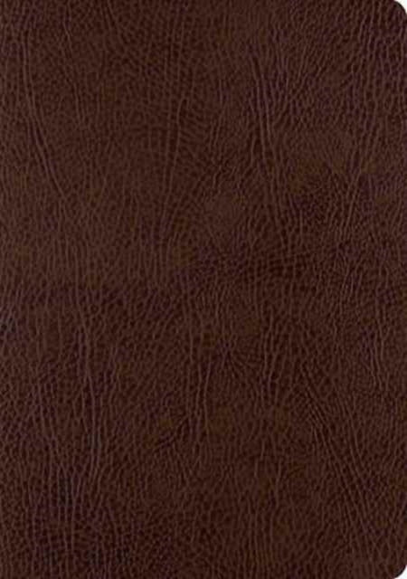 Esv Sc Journaling Lp Bonded Moch