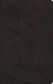 Esv Large Print Value Thinline Bible T