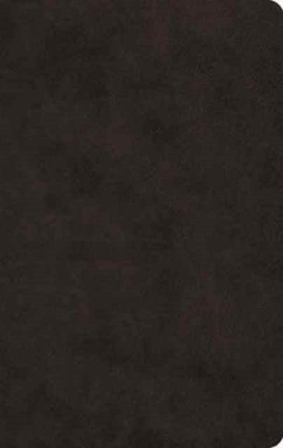 Esv Large Print Value Thinline Bible T