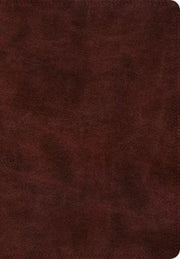 Esv Super Giant Print Bible