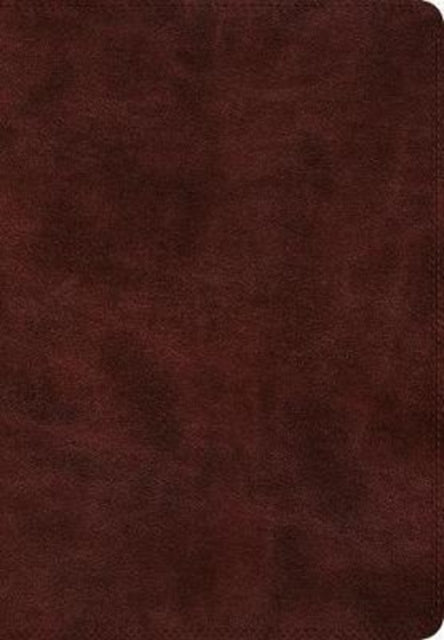 Esv Super Giant Print Bible