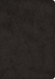 Esv Super Giant Print Bible Truton