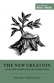 New Creation & The Storyline