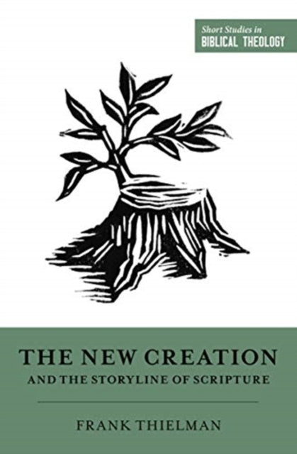 New Creation & The Storyline
