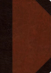 Esv Large Print Wide Margin Bible Trut