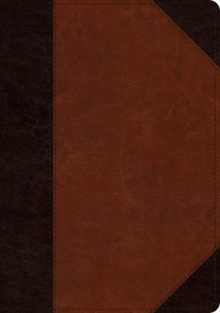 Esv Large Print Wide Margin Bible Trut