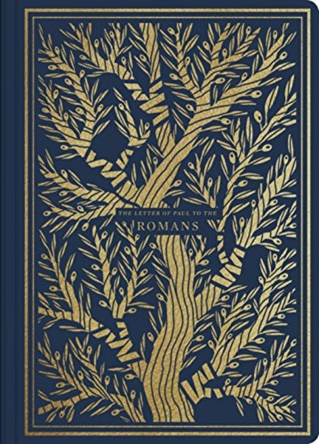 Esv Illuminated Sj Romans