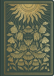 Esv Illuminated Sj James