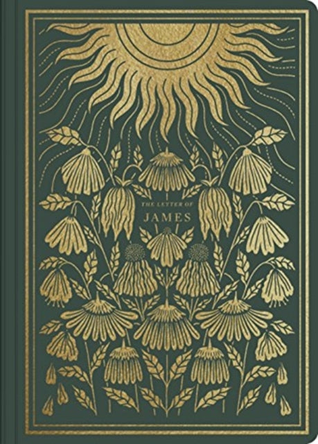 Esv Illuminated Sj James