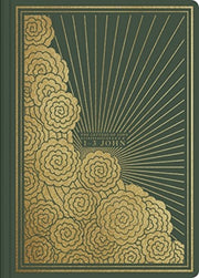 Esv Illuminated Sj 1 3 John
