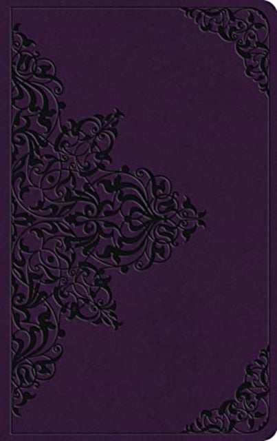 Large Print Value Thinline Bible