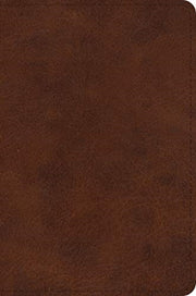Esv Large Print Bible