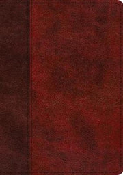 Esv Single Column Journaling Bible