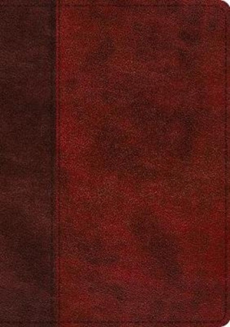 Esv Single Column Journaling Bible