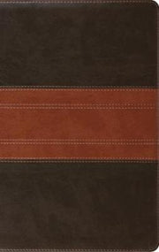 Esv Large Print Personal Size Bible