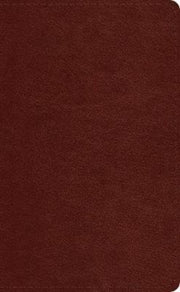 Esv Pocket Bible
