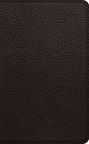 Esv Pocket Bible By Unknown