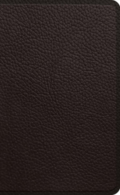 Esv Pocket Bible By Unknown