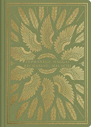 Esv Illuminated Sj Zephhaggaizechmal