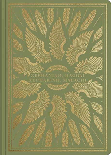 Esv Illuminated Sj Zephhaggaizechmal