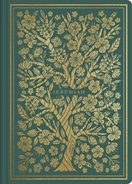 Esv Illuminated Sj Jeremiah