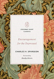 Encouragement For The Depressed