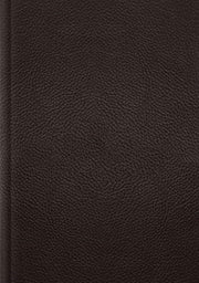 Esv Single Column Journaling Bible Large