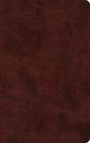 Esv Large Print Thinline Bible Tru